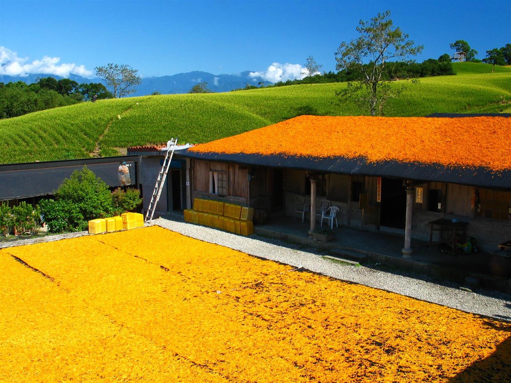 215_1562.JPG 215_1562.JPG