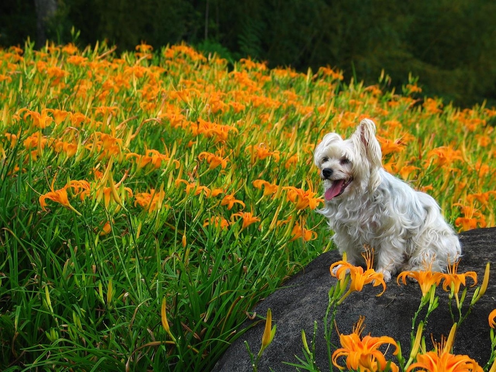 214_1440.JPG 214_1440.JPG