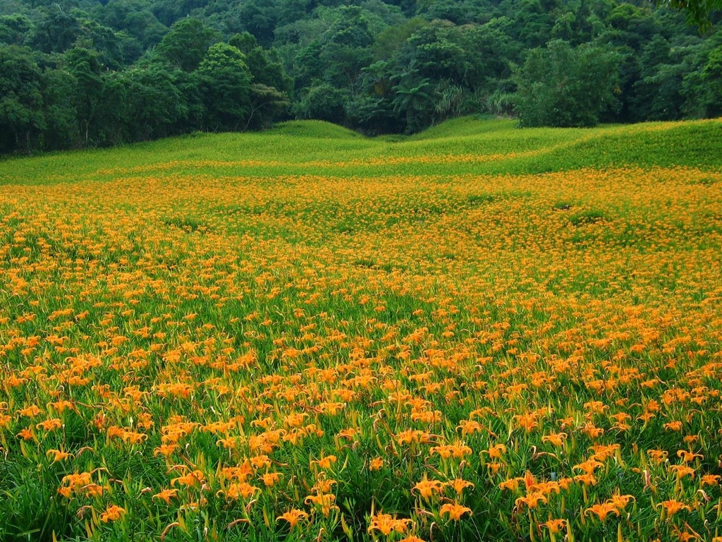 214_1429.JPG 214_1429.JPG