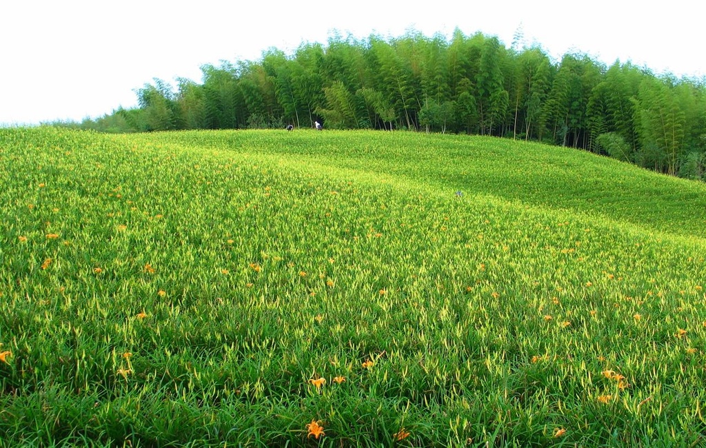 214_1462-1.JPG 214_1462-1.JPG