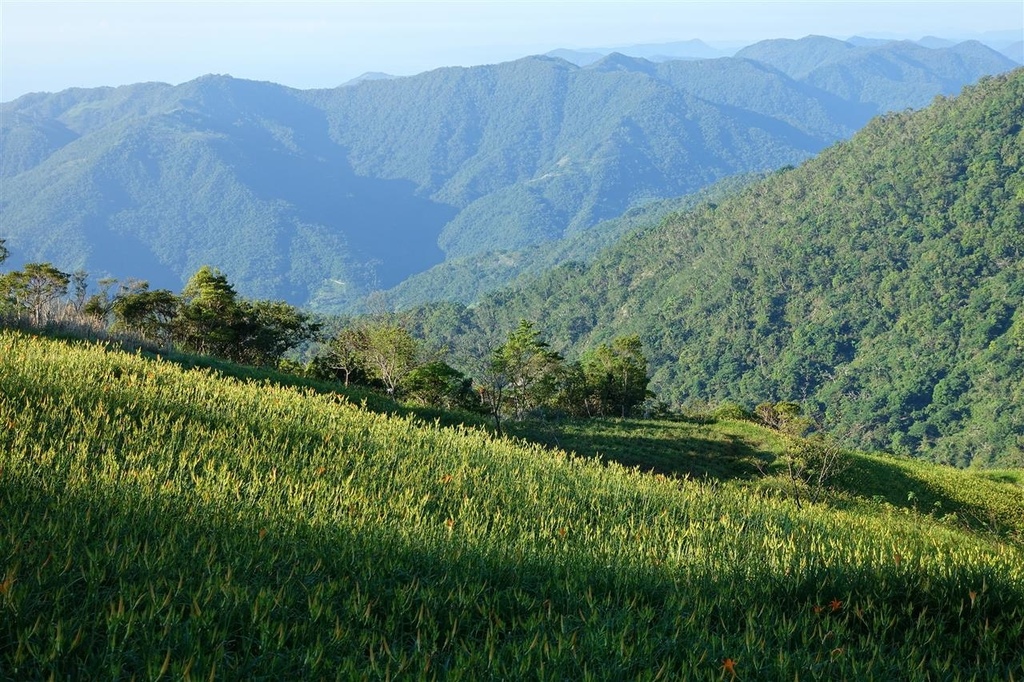 DSC08223.JPG DSC08223.JPG