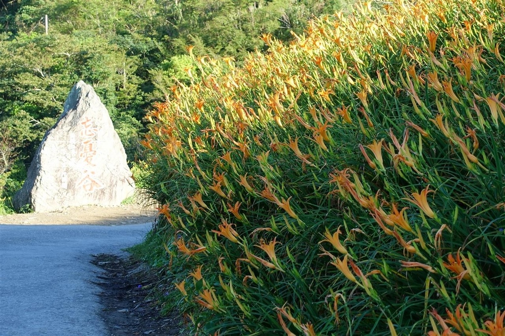 DSC08233.JPG DSC08233.JPG