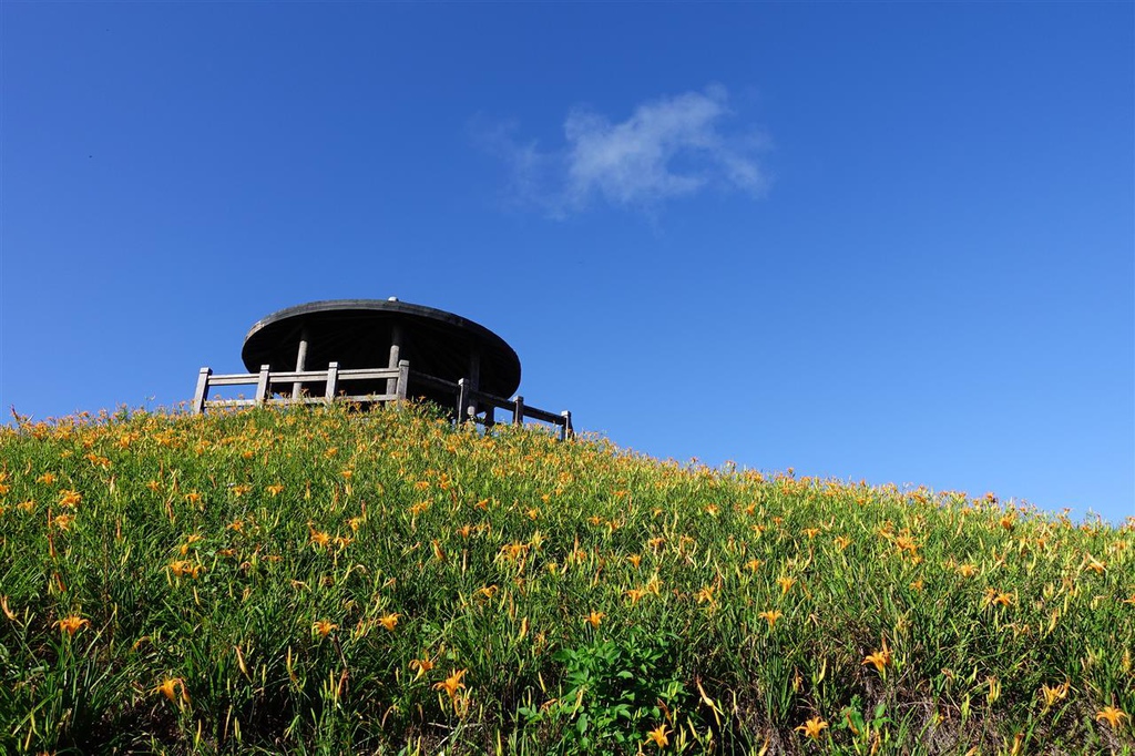 DSC08247.JPG DSC08247.JPG