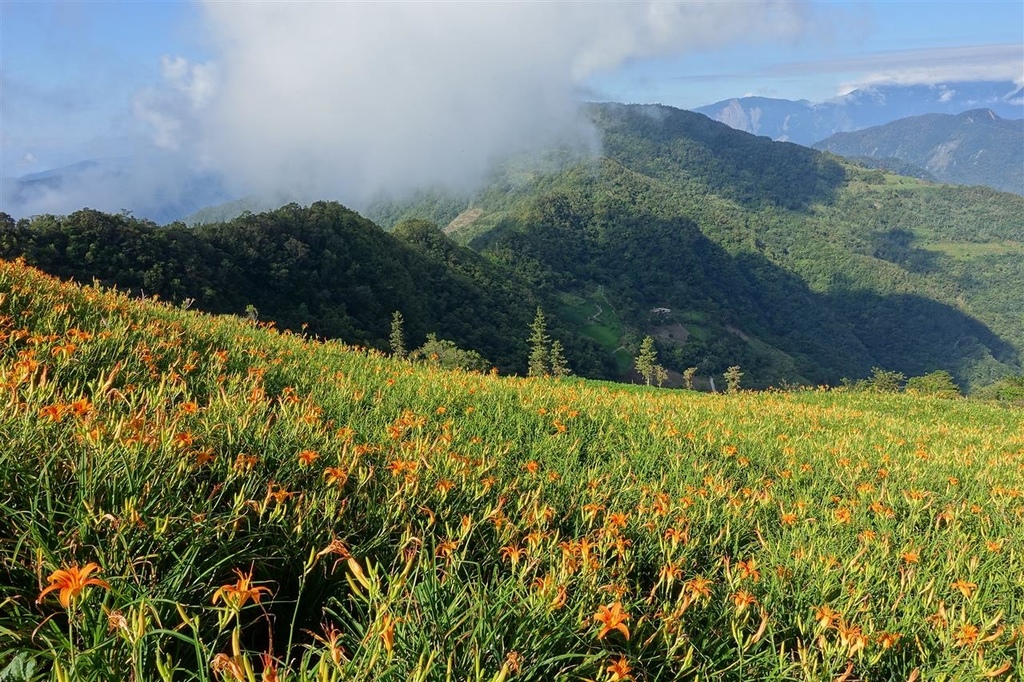 DSC08264.JPG DSC08264.JPG