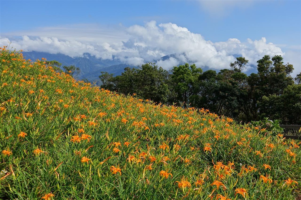 DSC08274.JPG DSC08274.JPG