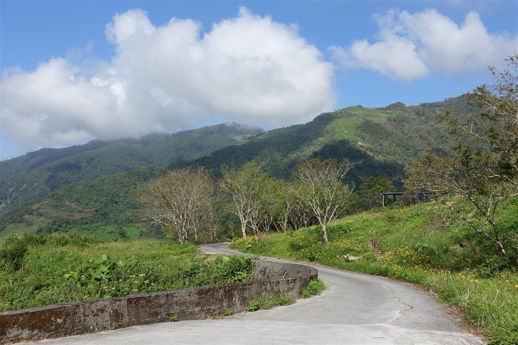 DSC08287.JPG DSC08287.JPG