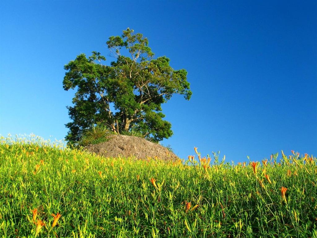 215_1538.JPG 215_1538.JPG