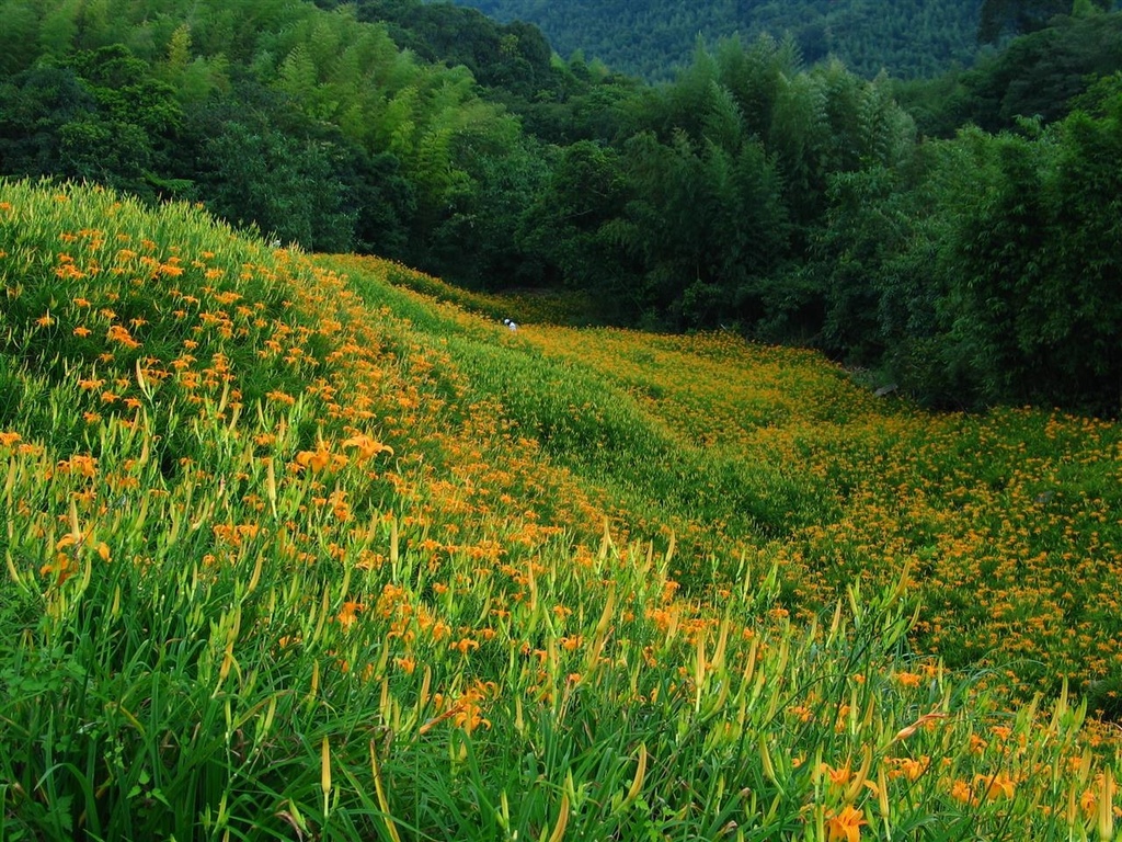 214_1432.JPG 214_1432.JPG