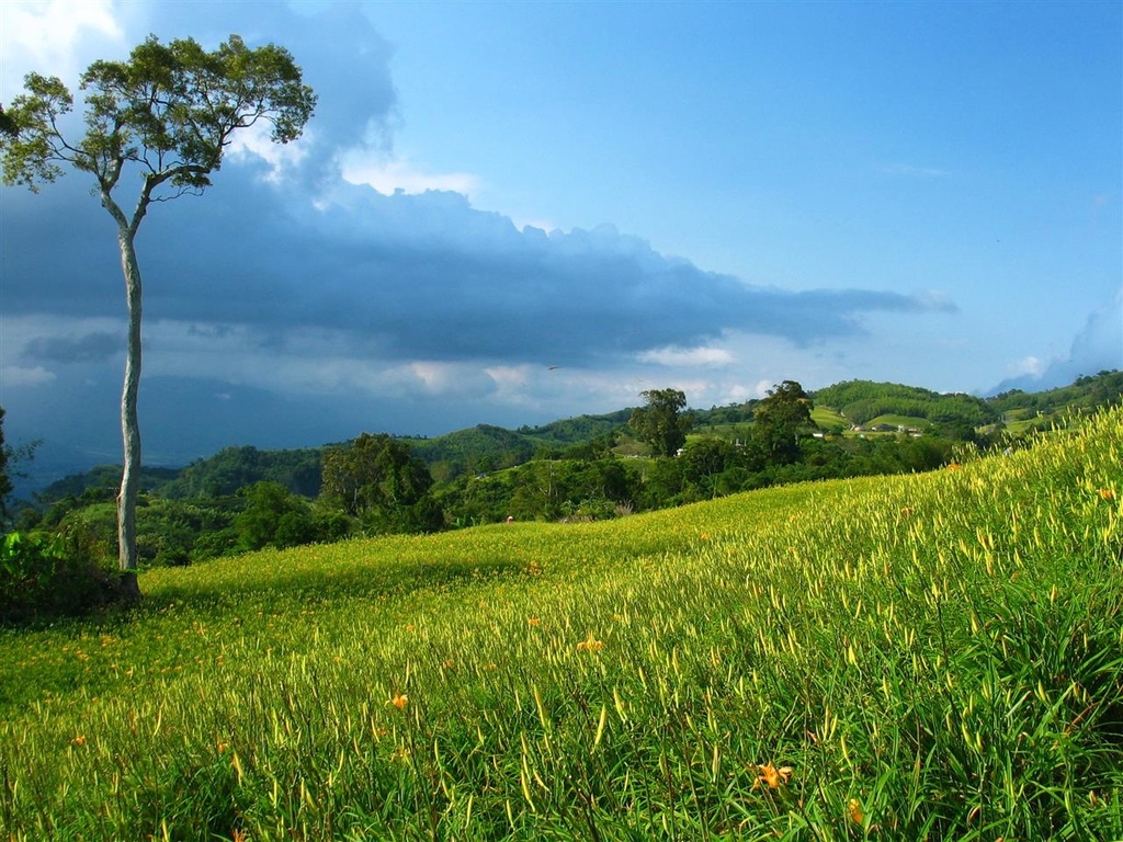 214_1446.JPG 214_1446.JPG