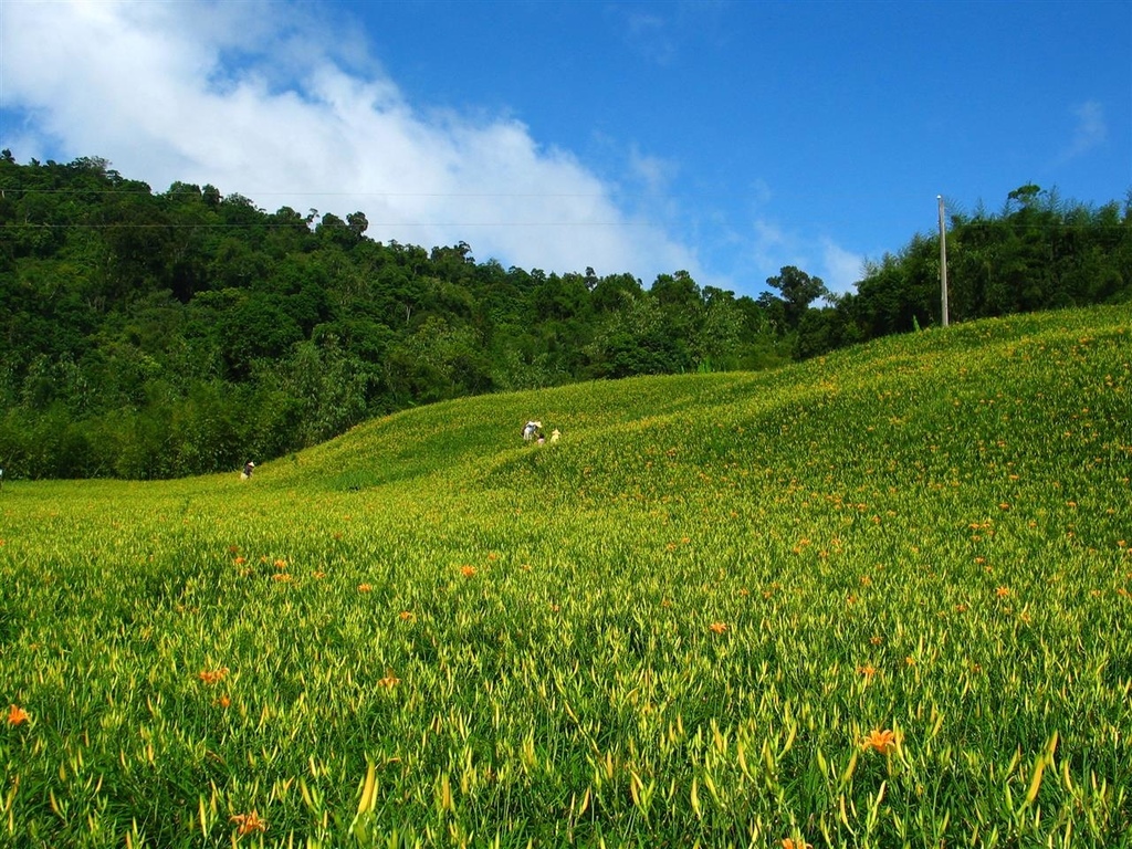 214_1445.JPG 214_1445.JPG