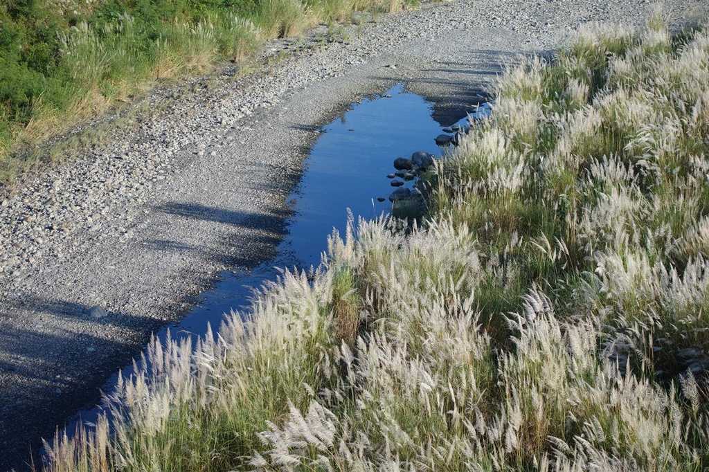 DSC08755.JPG DSC08755.JPG