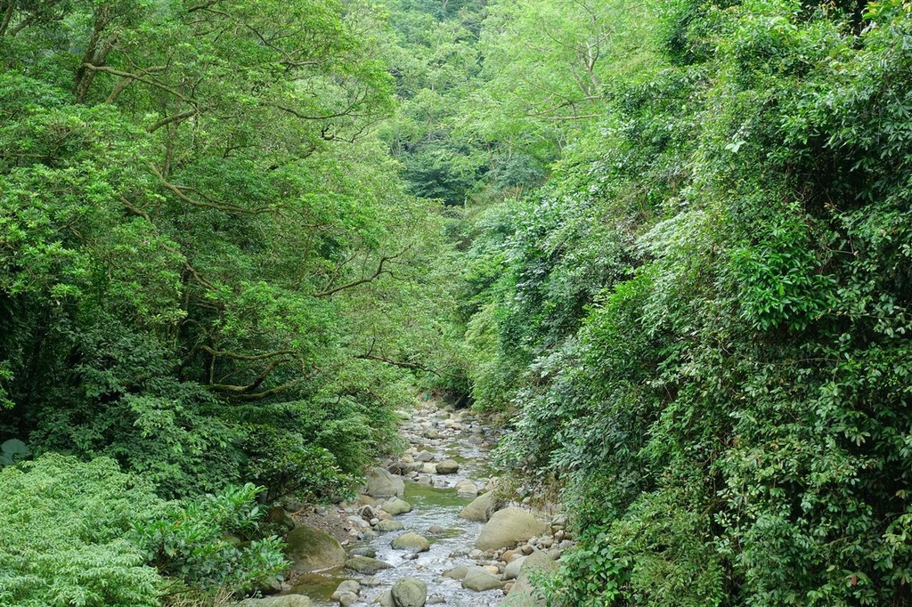 DSC09013.JPG DSC09013.JPG