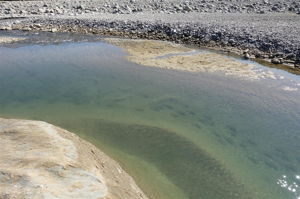 DSC09838.JPG DSC09838.JPG