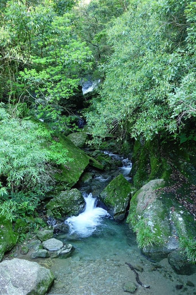 DSC05241.JPG DSC05241.JPG