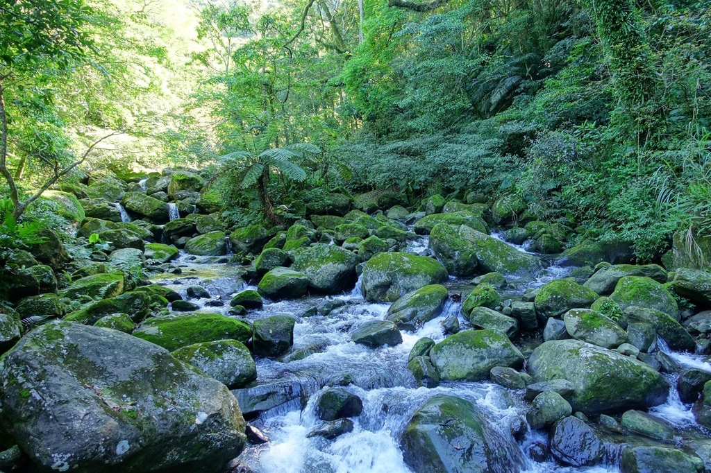 DSC05245.JPG DSC05245.JPG