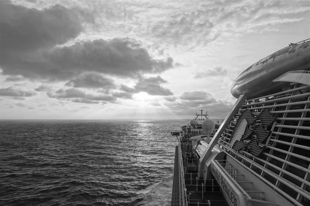 DSC05462.JPG DSC05462.JPG