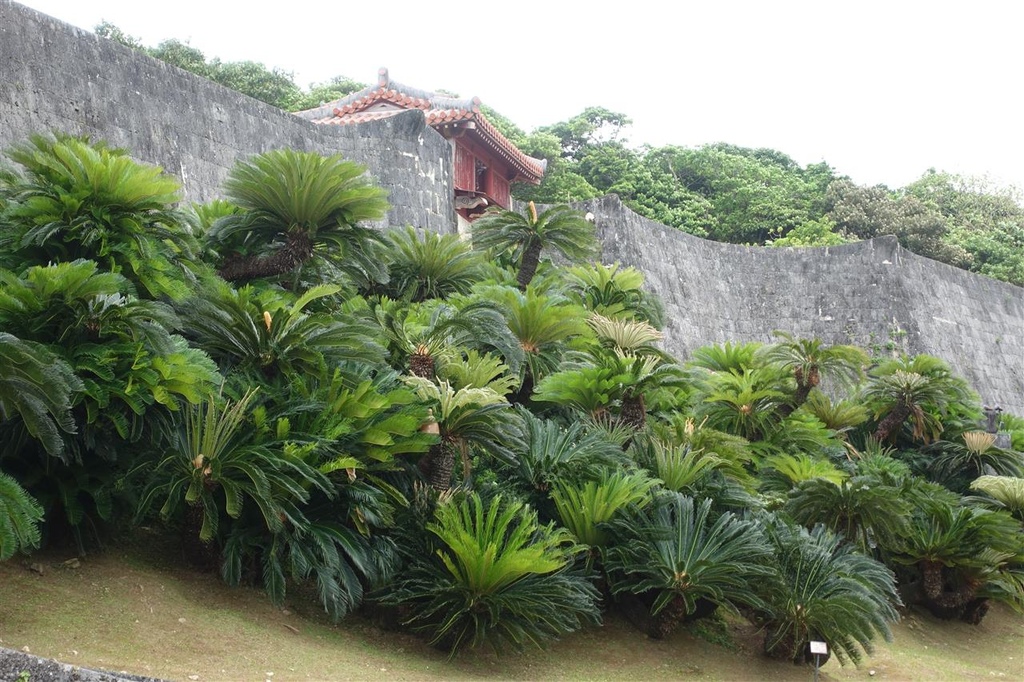 DSC05523.JPG DSC05523.JPG