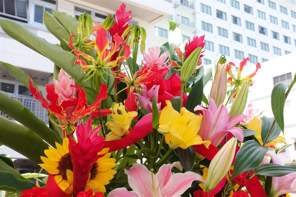 DSC05702.JPG DSC05702.JPG