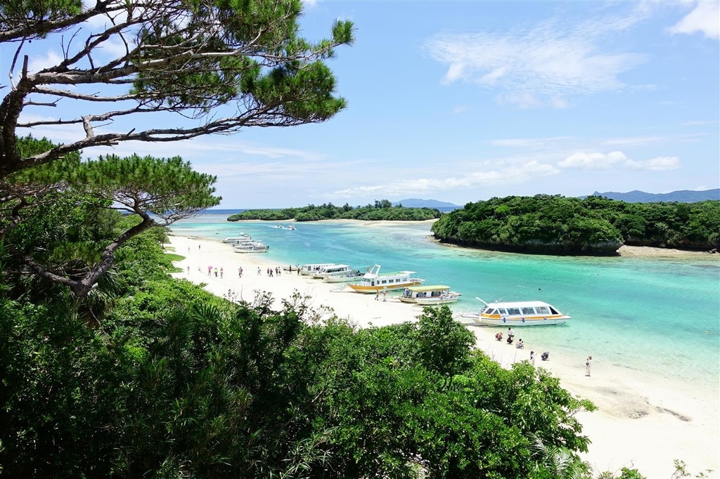 DSC06083.JPG DSC06083.JPG