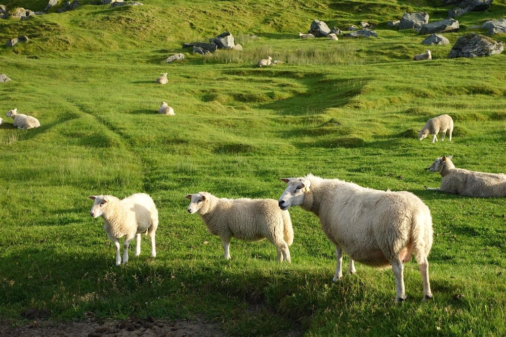 挪威(1) 羅浮敦、峽灣之旅精華篇 挪威(1) 羅浮敦、峽灣之旅精華篇