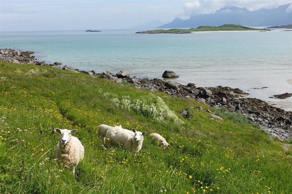 挪威(1) 羅浮敦、峽灣之旅精華篇 挪威(1) 羅浮敦、峽灣之旅精華篇