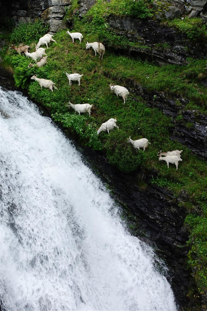 挪威(1) 羅浮敦、峽灣之旅精華篇 挪威(1) 羅浮敦、峽灣之旅精華篇
