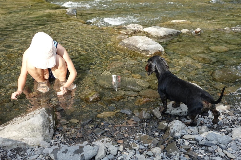 DSC02896.JPG DSC02896.JPG