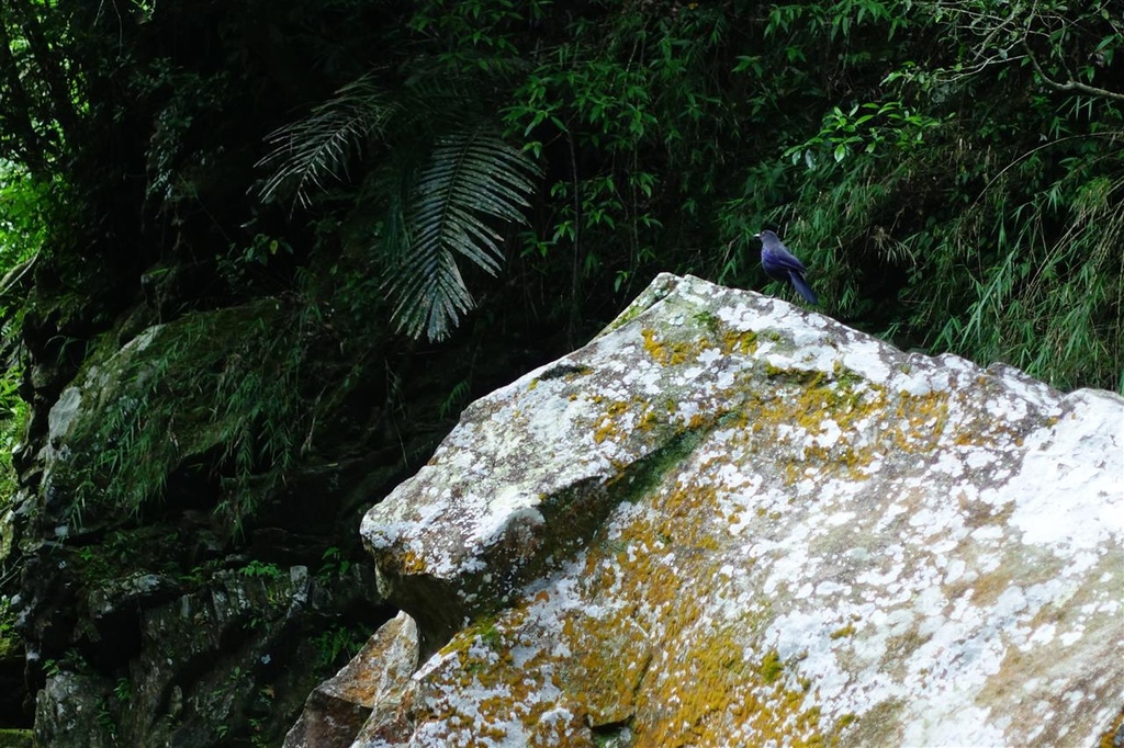 DSC02699.JPG DSC02699.JPG