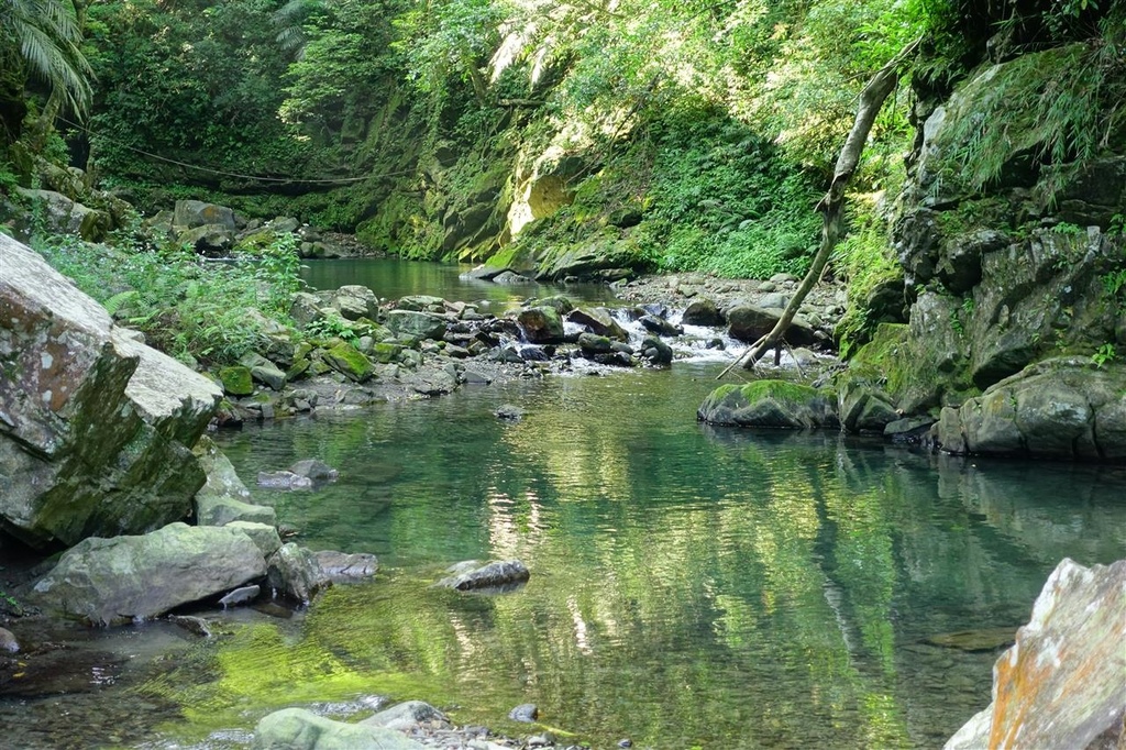 DSC02728.JPG DSC02728.JPG