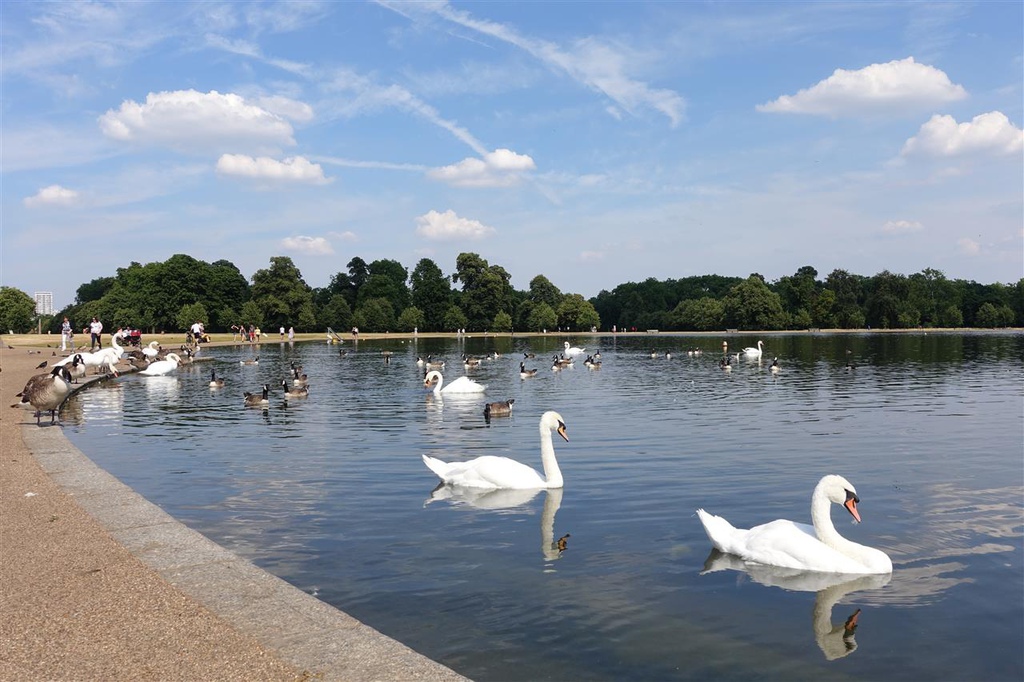 DSC03123.JPG DSC03123.JPG