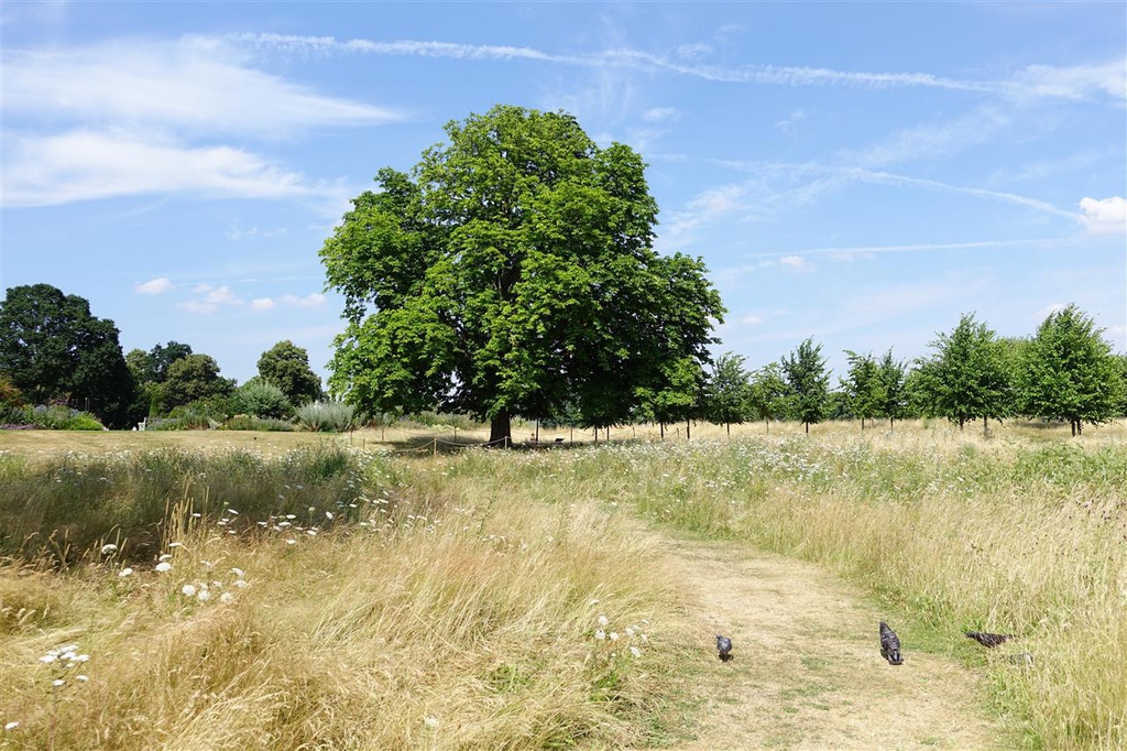 DSC03104.JPG DSC03104.JPG