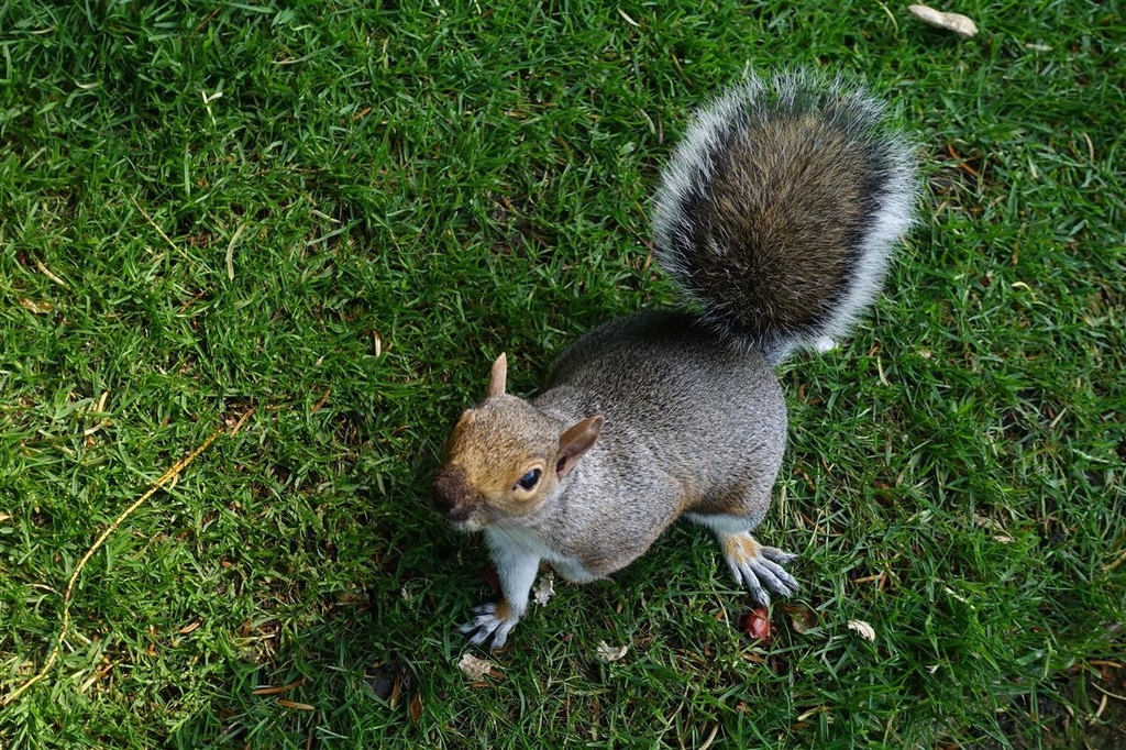 DSC03141.JPG DSC03141.JPG