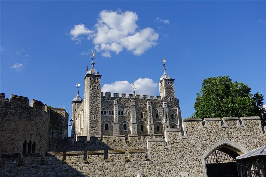 DSC03556.JPG DSC03556.JPG