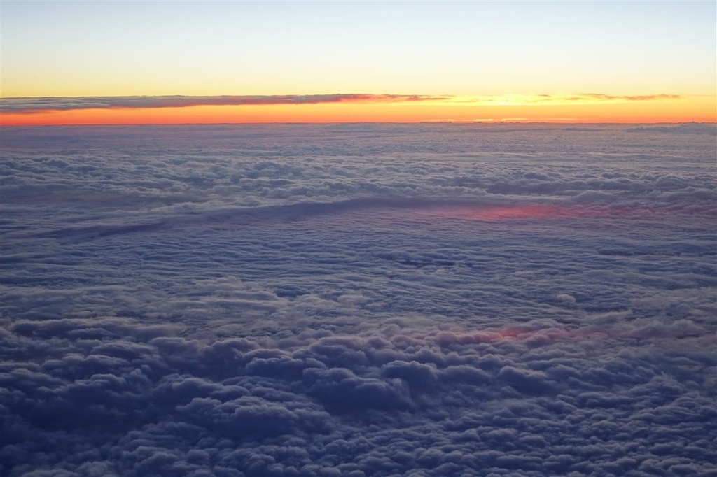 DSC02981.JPG DSC02981.JPG