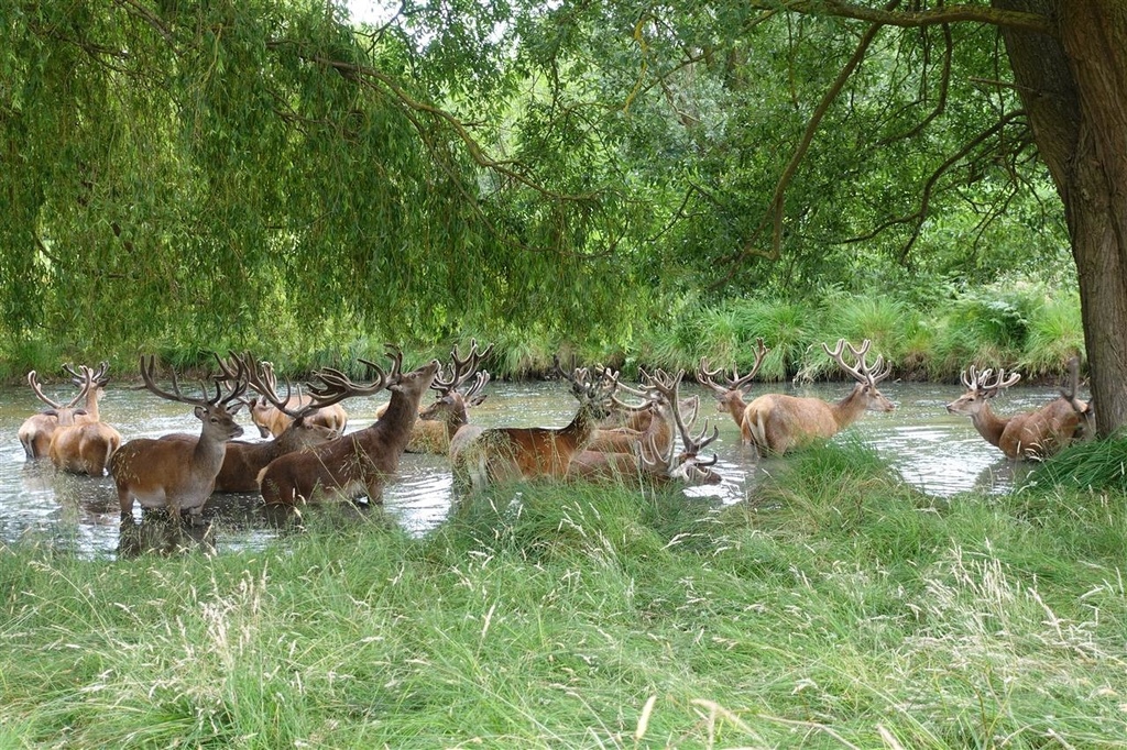 DSC03795.JPG DSC03795.JPG