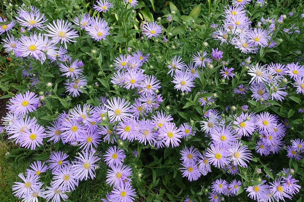 DSC04062.JPG DSC04062.JPG