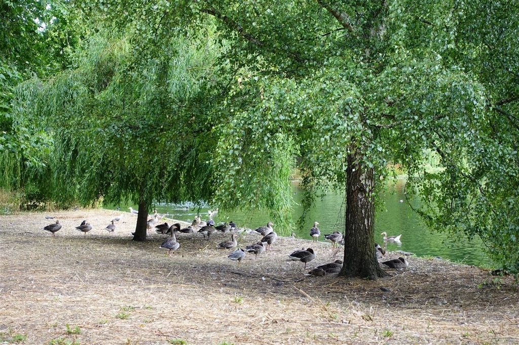 DSC04060.JPG DSC04060.JPG