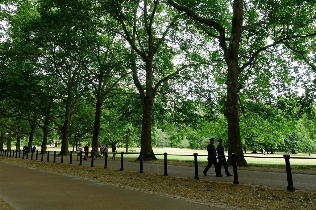 DSC04085.JPG DSC04085.JPG