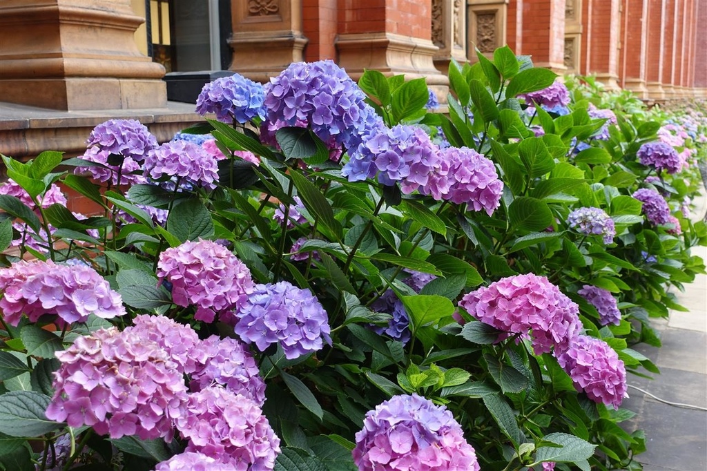 DSC04133.JPG DSC04133.JPG