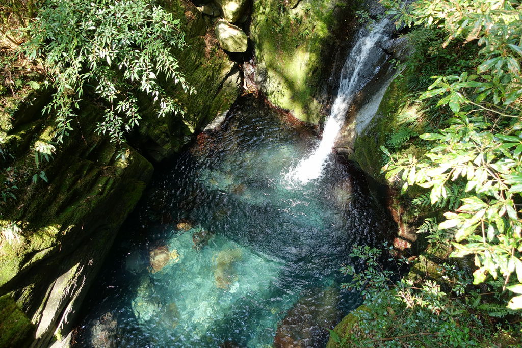 DSC06000.JPG DSC06000.JPG