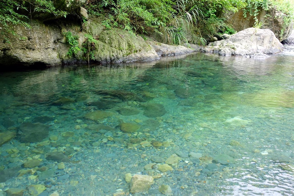 DSC06599.JPG DSC06599.JPG