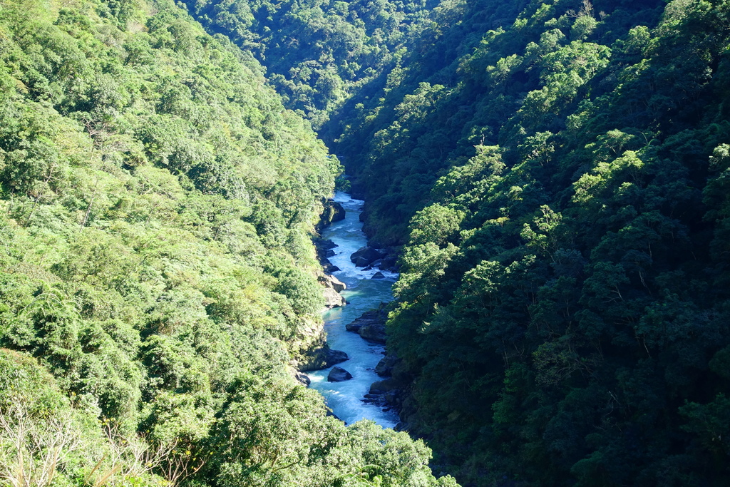 DSC08703.JPG DSC08703.JPG