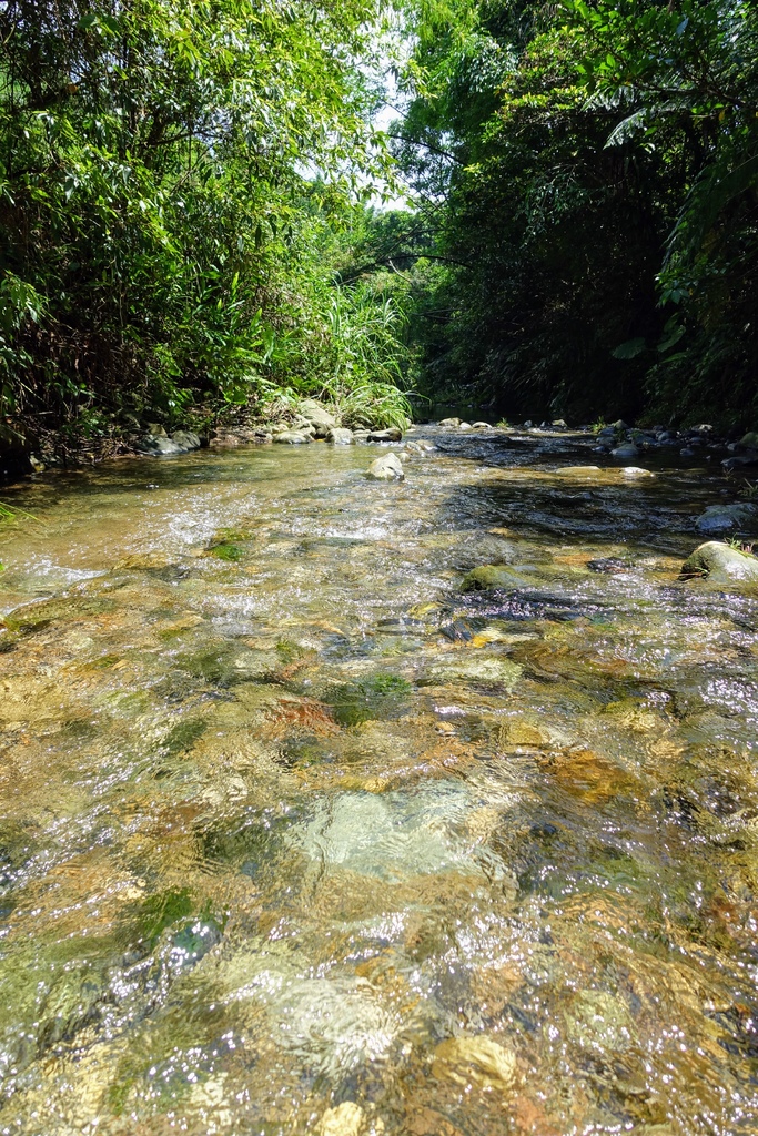 DSC00307.JPG DSC00307.JPG