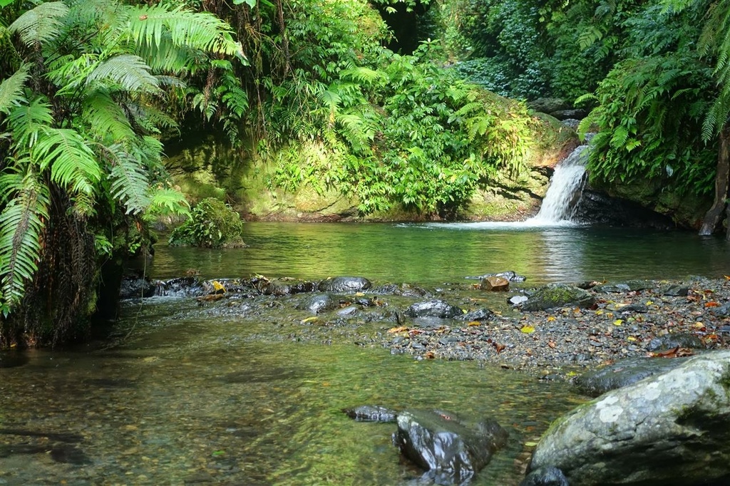 DSC00134.JPG DSC00134.JPG