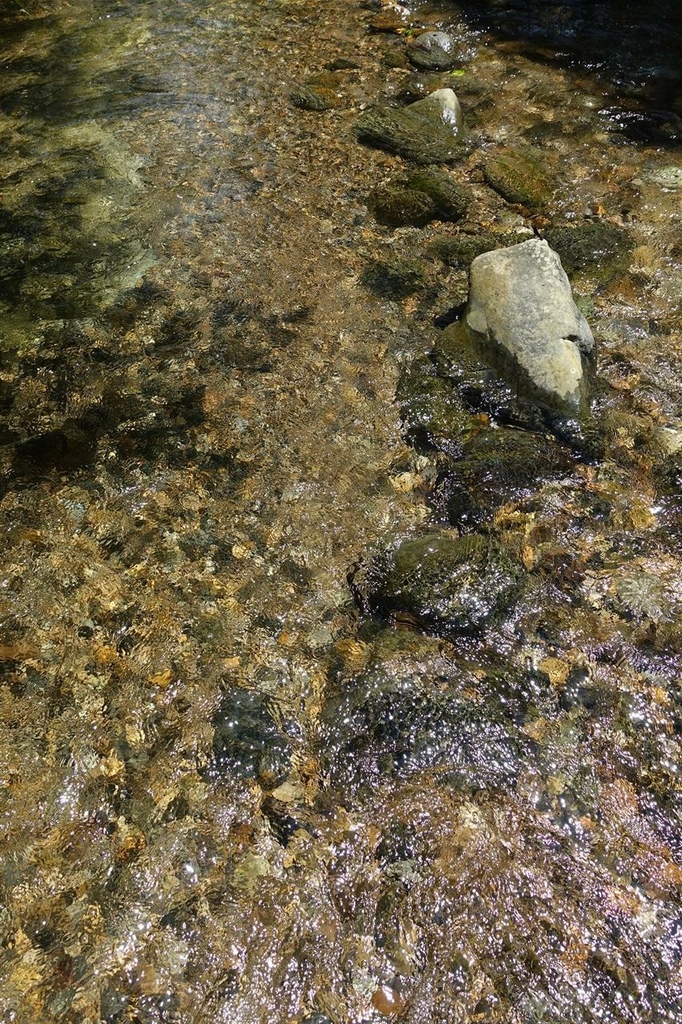 DSC00308.JPG DSC00308.JPG