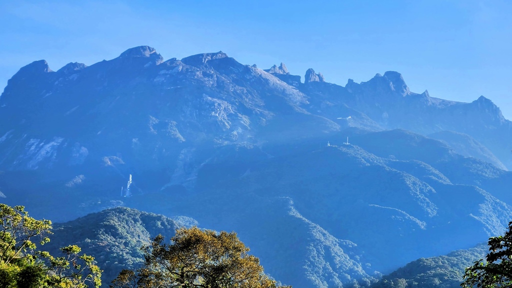 巨蜥,神山,大王花