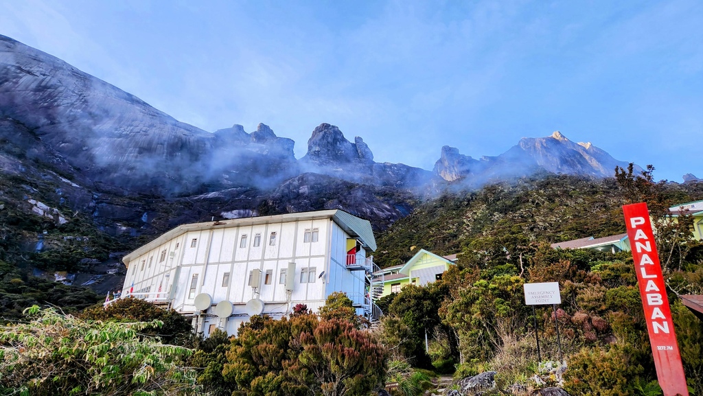 巨蜥,神山,大王花