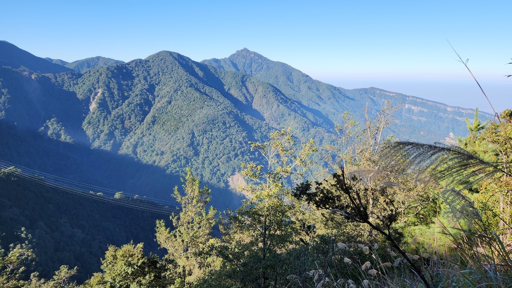 獨上鹿山 見神木