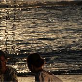 paradise 8.png paradise 8.png