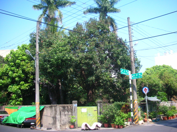 DSCN7837.JPG DSCN7837.JPG